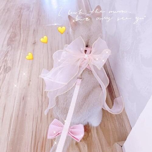 Pet Walking Cat Rope Fairy Mesh Yarn Bowknot Cat Chest Strap Cat Dog Traction Rope Pet Supplies Accessories