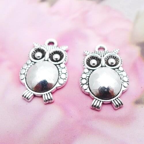 RAINXTAR Fashion Alloy Cute Owl Animal Charms 15*21mm 20pcs AAC549