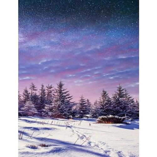 SNA New Full square diy diamond painting Snow Scenery mosaic 3d diamond embroidery princess children room decoration gift
