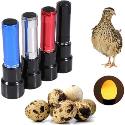Minifermer LED Flashlights