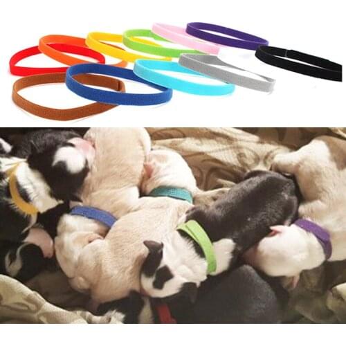 12 Pcs/Set Puppy Newborn Pets Identify Collars Adjustable Nylon Small Pet Dog Collars Kitten Necklace Puppy Collars