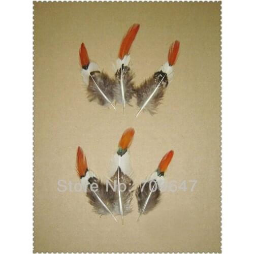 Pheasant Feathers,100pcs/lot,5-9cm long-SHORT NATURAL Orange Tips Lady Amherst Pheasant Feathers,Feather for crafts