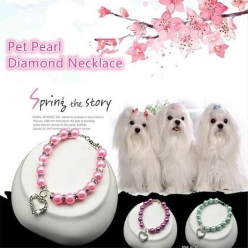 Pet Supplies Pearl Necklace Pet Collar Cat and Dog Jewelry Small Dog Teddy Chihuahua Beautiful Fashion
