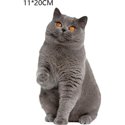 Five kinds of personalized Kitty car refrigerator bathroom kitchen bumper stickers door tail 3D animation funny creative sticker