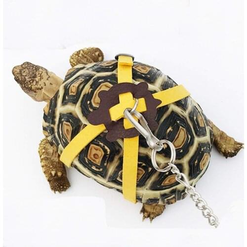 1.2m Pet Hamster Harness Turtle Lizard Leash Traction Rope Adjustable Leashes Belt Walking Leads for Guinea Pig Cobaya Turtle
