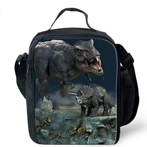 Dinosaur Picnic Bag for Children Boys Cool Insulated Lunch Container Thermal Lunch Box bag with Shoulder Straps Mens Lunch Bags