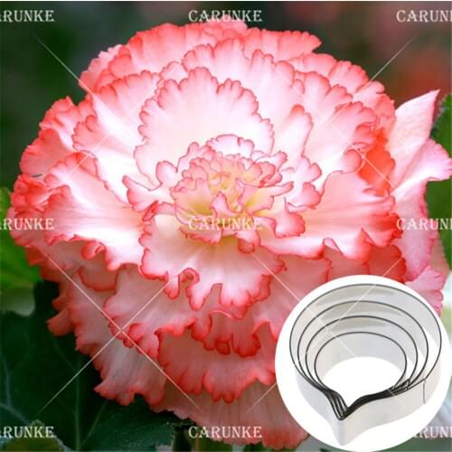 Begonia Tuberhybrida Petal Cutter set Flower Petal Cutter GumPaste Flower Stainless Steel Cutter Biscuit Metal Cutters Mould
