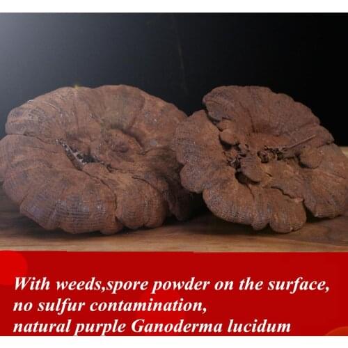250g-1000g High-Quality Linden Wood Purple Ganoderma,Black Mushroom Slices,With Spore Powder,Enhance Resistance