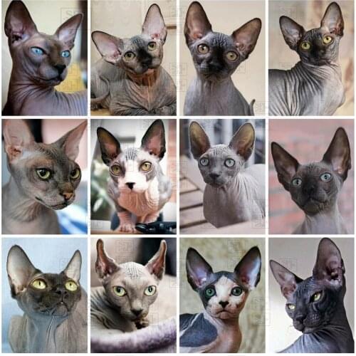 5D Diy Diamond Painting Cross Stitch Full Square/round Cat Mosaic Diamond Embroidery Animal Hanging Gift Home Wall Decoration