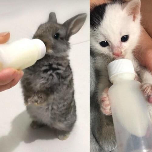 Portable Hamster Cat Dog 50/120ml Pet Milk Bottle Silicone Nipple Small Animal Cats Kitten Feeding Accessories Supplies