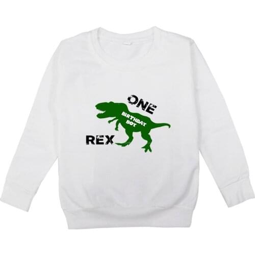 Your OWN Design Brand Name/Age Kids Custom Boys DIY Sweater Girls Cartoon Sweatshirt Tops birthday Custom Number dinosaur Hoodie