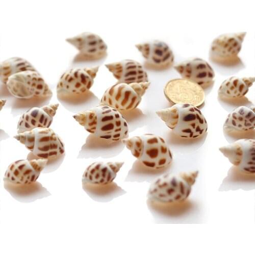 Natural Conch Shells Mini Conch Corn Screw Fish Tortoise Tank Aquatic Pet Supplies Aquarium Decorations DIY Seashell Ornaments