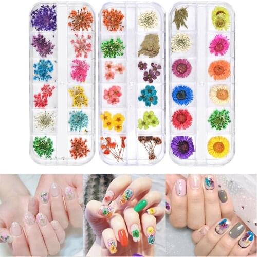 Dried Flowers Leaf Gypsophila Daisy Natural Floral Sticker 3D Dry Beauty Nail Art Decals Jewelry Tips UV Gel Polish Manicure