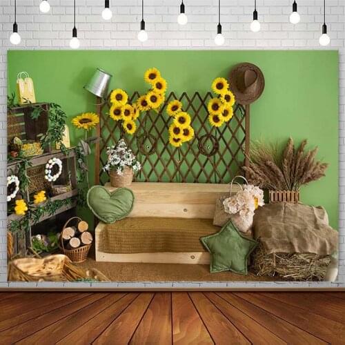 Baby Shower Birthday Backdrops Sunflowers Star Pillow Haystack Newborn Girl Green Photography Background Studio Photophone Decor