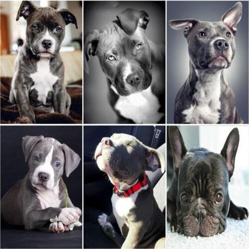 RUOPOTY Picture Painting By Numbers For Adults Black Dog Drawing Coloring By Numbers Animals Handmade Acrylic Paint For Home