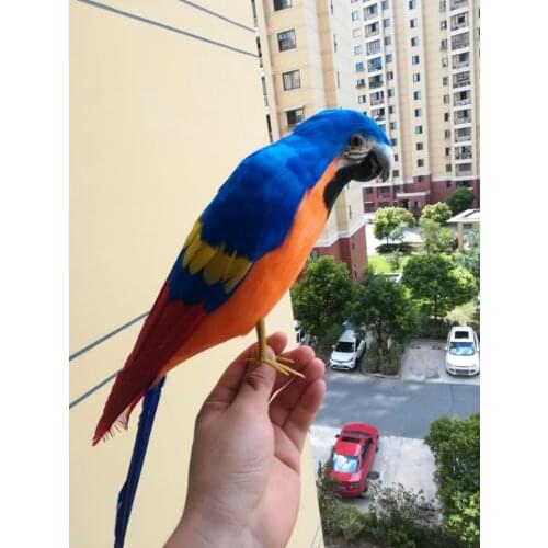 New real life blue&orange parrot model foam&feather simulation parrot bird gift about 42cm xf0199