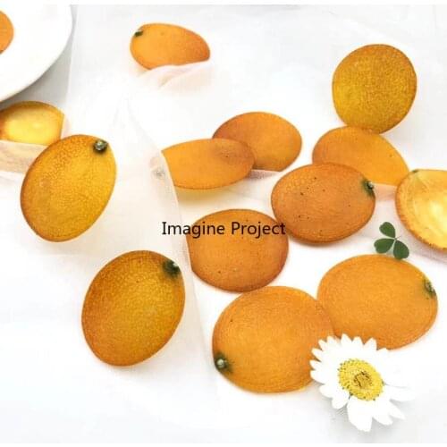 5pcs Dried Pressed 2-3cm Kumquat Skin Slices Fruit Plant Herbarium For Jewelry Photo Frame Phone Case Bookmark Postcard DIY