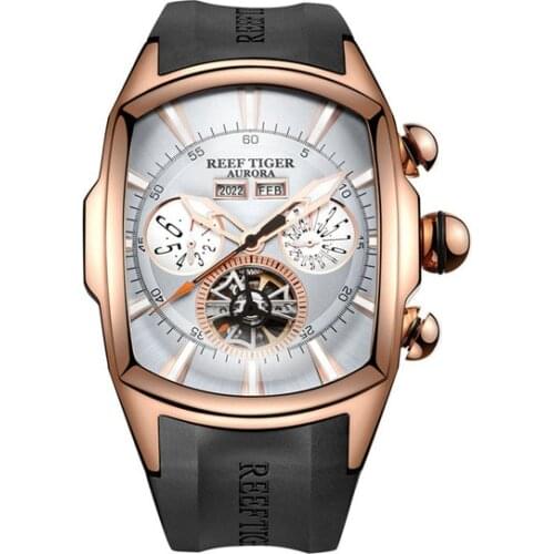 Reef Tiger Aurora Serier RGA3069 Men Fashion Multifunction Concept Dial Automatic Mechanical Wrist Watch With Luminous Analog