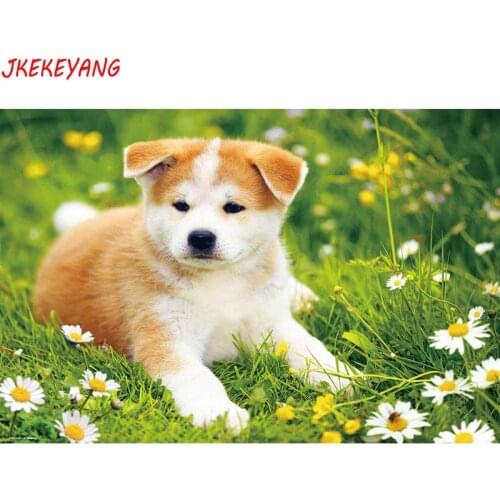 5D DIY square/round Diamond painting Lovely Akita dog Cross Stitch Diamond Embroidery Pattern Rhinestone J1718