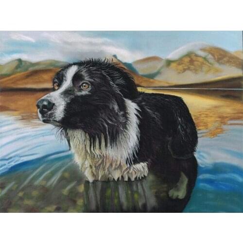 Animal Border Collie Printed Canvas 11CT Cross-Stitch DIY Embroidery Kit DMC Threads Handicraft Craft Hobby Wholesale