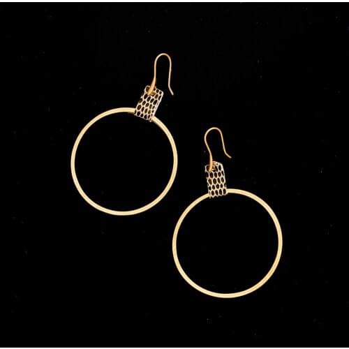 Jaeeyin 2021New Arrivals Fashion Jewelry Classice Hoop Charm, Fake Snakeskin, Vintage Gold Color Earrings,Gift For Women Lady