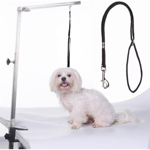 1 Pcs New Pet Dog Collar Multi-Purpose Nylon Dogs Harness Leash Creative Puppy Grooming Leash Dogs Collars Supplies Accessories