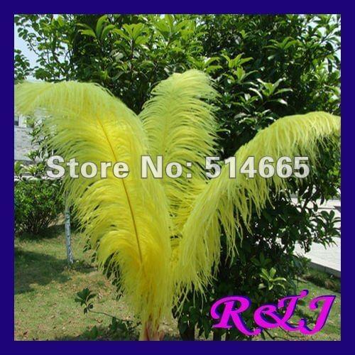 Wholesale 20PCS Quality Natural OSTRICH FEATHERS 26-28inch 65-70cm yellow ostrich feather EMS Free Shipping