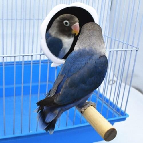 Erch Strong Wooden Roosting Bar Solid Accessories and Toys for Coop and Brooder for Large Bird Baby Parrots K0AB