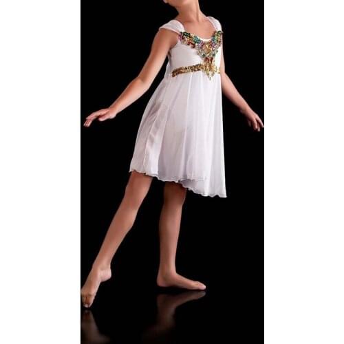 Girls Elegant Lyrical Modern Dance Ballerina Dress Swan Lake Ballet Costume Child Blue Pink White Red Ballet Clothes For Kids