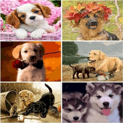 SDOYUNO painting by numbers dog Animal Framed Coloring By Numbers Wall Decor Acrylic Canvas Handmade Home Wall Art