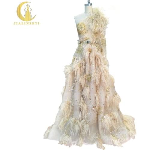 Rhine Real Image Sample One Long Shoulder Zuhair Murad Champange Gold Sequins Feather Luxurious Fashion new Formal evening dress