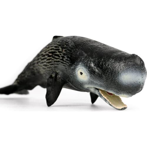 White Shark Megalodon Whale Beluga Ocean Model Figure Collector Toy Kids Gift