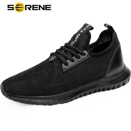 SERENE 2019 New Spring Fast Delivery Men Casual Shoes Fashion Breathable Sneakers Mesh Lace-up Flat For Tenis Feminino