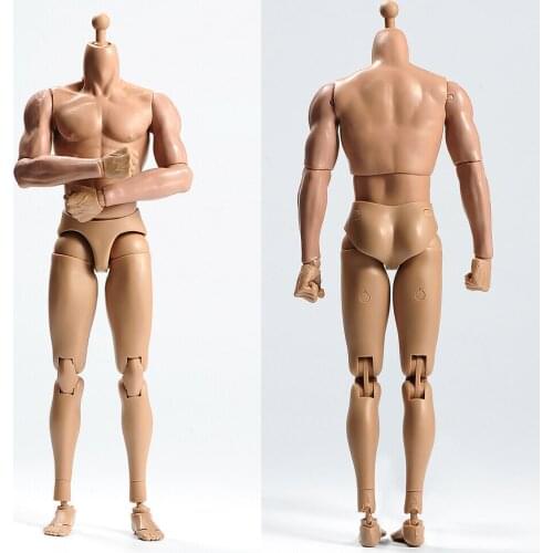 TQ230 1/6 Scale Muscular Male Body With Neck In stock Action Figure Dolls