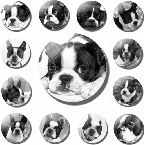 1PCS Dog Fridge Magnet Lovely Animal Fridge Sticker Decorative 30MM Glass Cabochon Refrigerator Dog Magnets Home Decoration