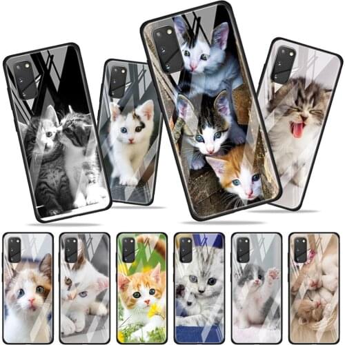 Cute kawaii kitten Cat Tempered Glass Cover For Samsung Galaxy A01 A11 A21S A21 A31 A41 A51 A71 A81 A91 Phone Case