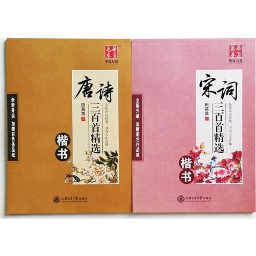 2 Book Magic Auto Dry Repeat Practice Calligraphy Copybook Chinese Characters Kaishu Tang Poem Song Ci Exercise Book Pen Set