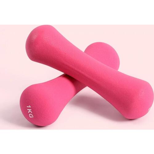 ChuYun Home Fitness Mens and Womens Dumbbell Indoor Weight Loss Small Exercise Equipment Unisex Comprehensive set