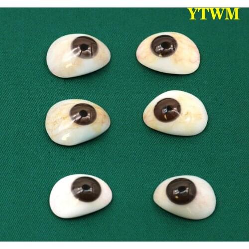 Polymer resin prosthetic eye lens beauty contact lenses show that the handicapped can use eyeball atrophy to remove false eyes