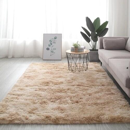 Thick Carpet for Living Room Plush Rug Children Bed Room Fluffy Floor Carpets Window Bedside Home Decor Rugs Soft Velvet Mat