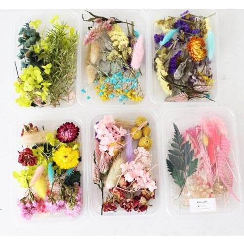 1 Box Real Dried Flower Dry Plants For Aromatherapy Candle Epoxy Resin Pendant Necklace Jewelry Making Craft Christmas DIY Gift