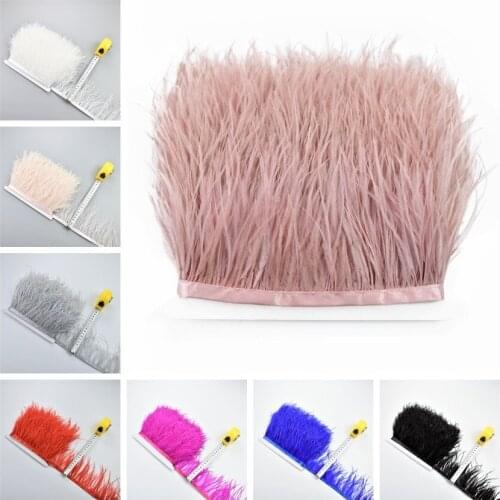1Meters Ostrich Feathers Fringe Trim for Needlework and Handicrafts 8-10cm Feather Dress Accessories Plumes Fringes for Clothes