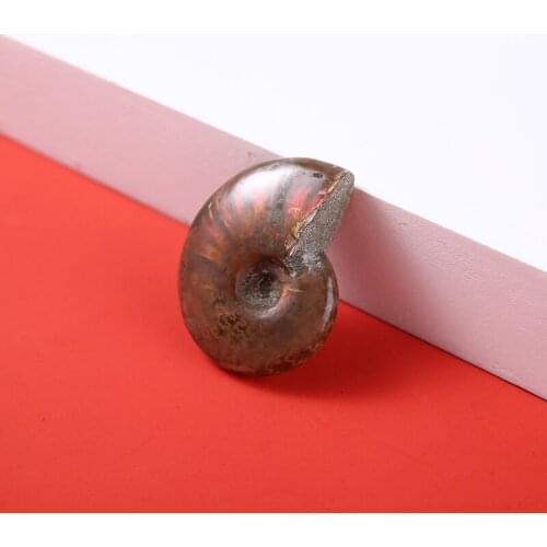 Natural Iridescent Ammolite Facet Specimen Fossil Madagascar Stone Pendant Necklace Home Decor