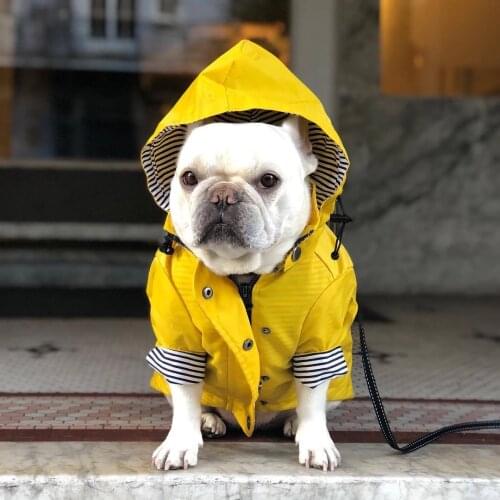 Pet Dog Clothes for Puppy Windproof Dog Jacket Rainproof Dog Raincoat Dog Sport Hoodies Jackets