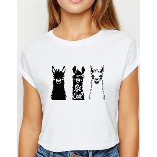 Womens T-shirt Hedgehog and Dandelion T-shirt Casual Harajuku Graphic T-shirt Wild женская Cartoon T-shirt