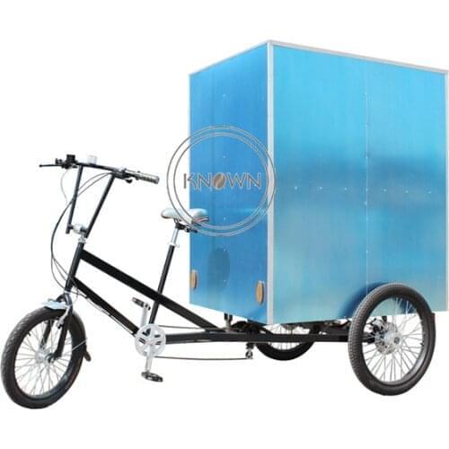 2021 Electric or Pedal Mobile Cargo Bike Family Three Wheels Tricycle Bike Cargo Transport Courier Trike