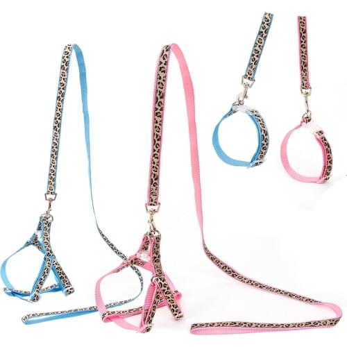 Speedy pet Animal Decorations