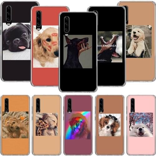 Funny Super Lovely Puppy Cute Dog Phone Case For Huawei P30 P40 P20 P10 Mate 20 10 30 Lite Pro P Smart Z Plus Printing Cover Coq