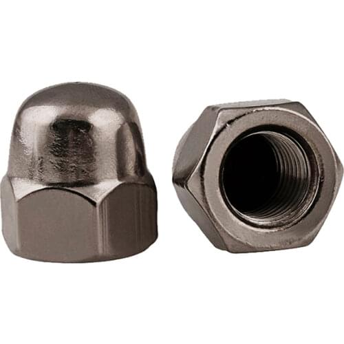 5-20pcs/lot DIN1587 Pure titanium cap nut M4/M5/M6/M8/M10/M12/M16/M20 Hex Cap Decorative Cover Semicircle Acorn Nut