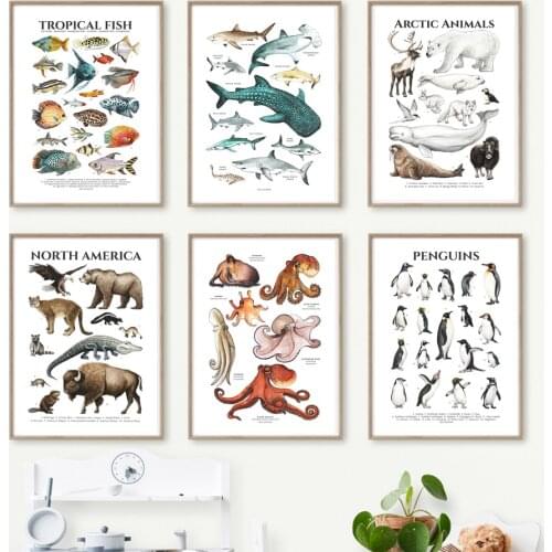 Ocean Animals Collection Shark Toddler Notes Nursery Wall Art Canvas Painting Posters Prints Kids Room Nordic Style Decoration